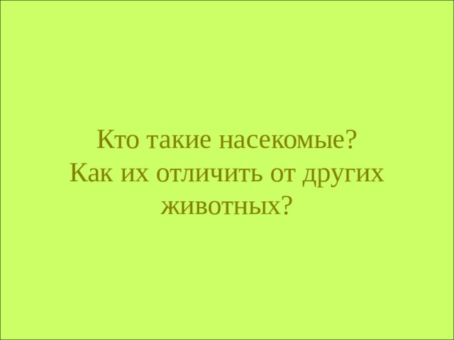 Кто такие насекомые?  Как их отличить от других животных? 