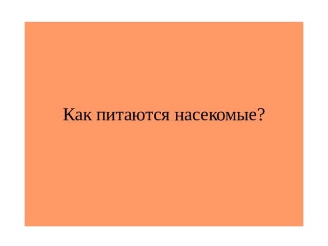 Как питаются насекомые?   