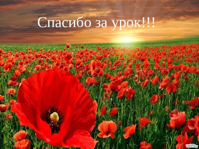 Спасибо за урок!!! 