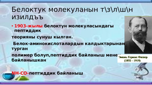 Белоктук молекуланын т\з\л\ш\н изилдъъ 1903-жылы белоктун молекуласындагы пептиддик теорияны сунуш кылган.  Белок-аминокислоталардын калдыктарынан турган полимер болуп,пептиддик байланыш менен байланышкан  NH-CO- пептиддик байланыш 