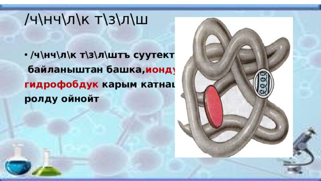/ч\нч\л\к т\з\л\ш   /ч\нч\л\к т\з\л\штъ суутектик  байланыштан башка, иондук жана гидрофобдук карым катнаш чоё ролду ойнойт 