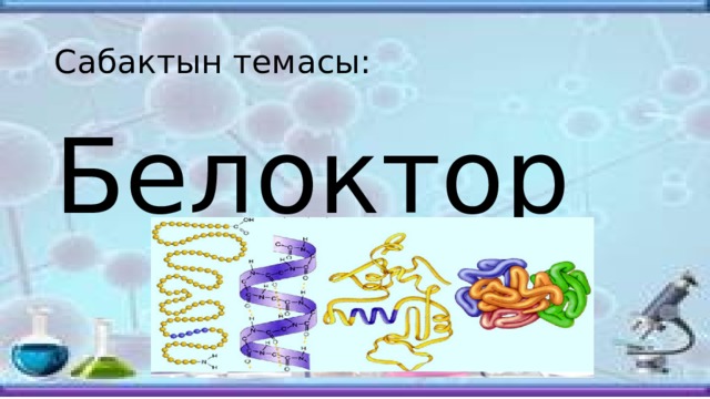 Сабактын темасы: Белоктор 