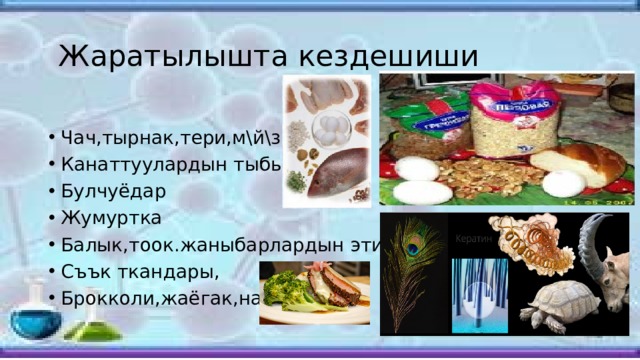  Жаратылышта кездешиши Чач,тырнак,тери,м\й\з, Канаттуулардын тыбыты Булчуёдар Жумуртка Балык,тоок.жаныбарлардын эти Съък ткандары, Брокколи,жаёгак,нан 