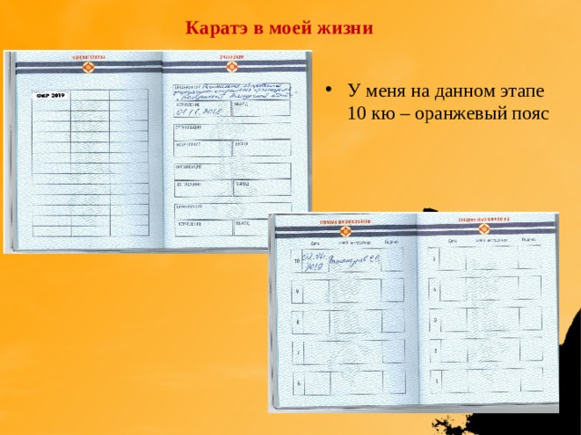 Каратэ в моей жизни У меня на данном этапе 10 кю – оранжевый пояс 