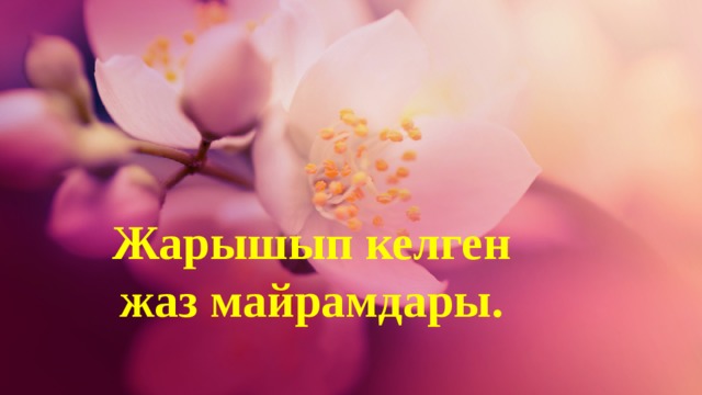 Жарышып келген жаз майрамдары. 1 