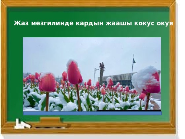 Жаз мезгилинде кардын жаашы кокус окуя 