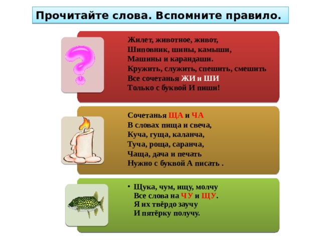 Прочитайте слова. Вспомните правило. Жилет, животное, живот,   Шиповник, шины, камыши,   Машины и карандаши.   Кружить, служить, спешить, смешить   Все сочетанья ЖИ и ШИ    Только с буквой И пиши! Сочетанья ЩА и ЧА   В словах пища и свеча,   Куча, гуща, каланча,   Туча, роща, саранча,   Чаща, дача и печать   Нужно с буквой А писать . Щука, чум, ищу, молчу   Все слова на ЧУ и ЩУ .   Я их твёрдо заучу   И пятёрку получу. Щука, чум, ищу, молчу   Все слова на ЧУ и ЩУ .   Я их твёрдо заучу   И пятёрку получу. Щука, чум, ищу, молчу   Все слова на ЧУ и ЩУ .   Я их твёрдо заучу   И пятёрку получу. Щука, чум, ищу, молчу   Все слова на ЧУ и ЩУ .   Я их твёрдо заучу   И пятёрку получу. 