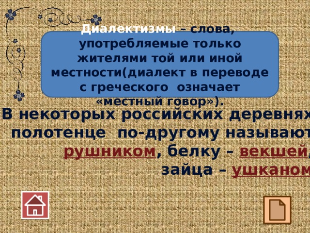 Диалектизмы – слова, употребляемые только жителями той или иной местности(диалект в переводе с греческого означает «местный говор»). В некоторых российских деревнях полотенце по-другому называют рушником , белку – векшей , зайца – ушканом .  