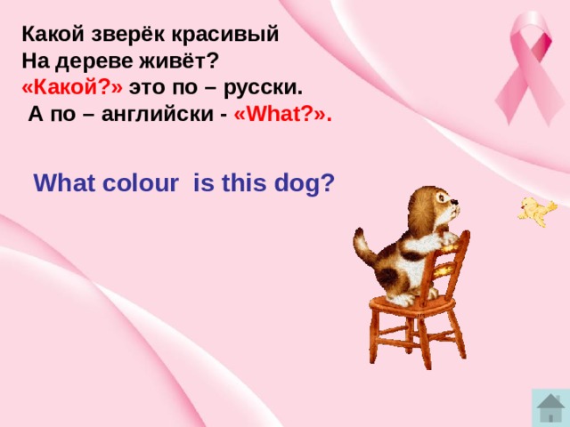Какой зверёк красивый На дереве живёт? «Какой?» это по – русски.  А по – английски - «What?». What colour is this dog? 