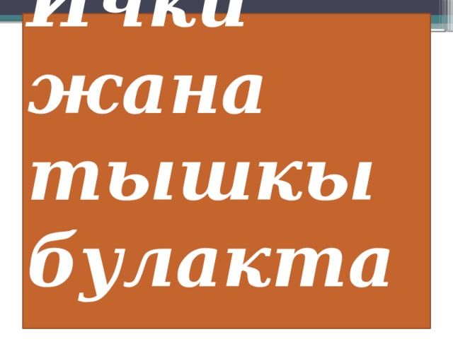 Ички жана тышкы булактар. 