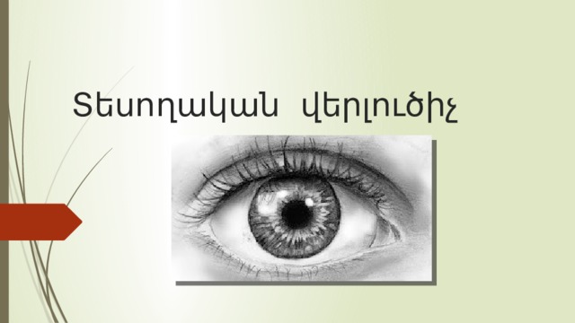 Տեսողական վերլուծիչ 