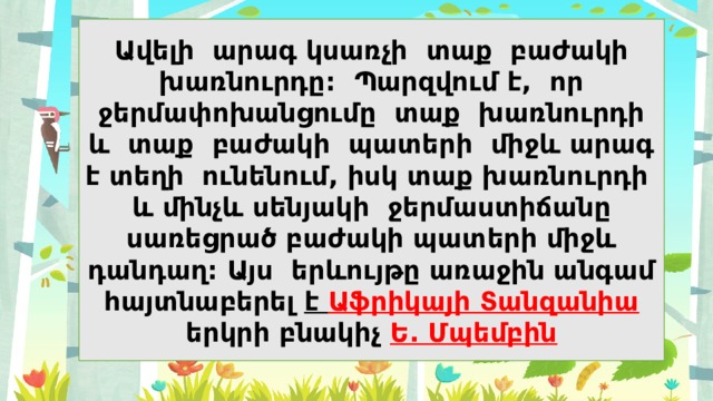 Ավելի արագ կսառչի տաք բաժակի խառնուրդը: Պարզվում է, որ ջերմափոխանցումը տաք խառնուրդի և տաք բաժակի պատերի միջև արագ է տեղի ունենում, իսկ տաք խառնուրդի և մինչև սենյակի ջերմաստիճանը սառեցրած բաժակի պատերի միջև դանդաղ: Այս երևույթը առաջին անգամ հայտնաբերել է Աֆրիկայի Տանզանիա երկրի բնակիչ Ե. Մպեմբին 