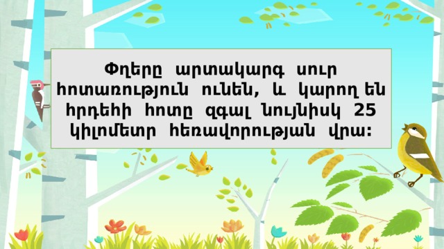 Փղերը արտակարգ սուր հոտառություն ունեն, և կարող են հրդեհի հոտը զգալ նույնիսկ 25 կիլոմետր հեռավորության վրա: 