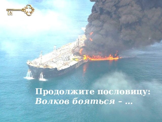Продолжите пословицу: Волков бояться – … 