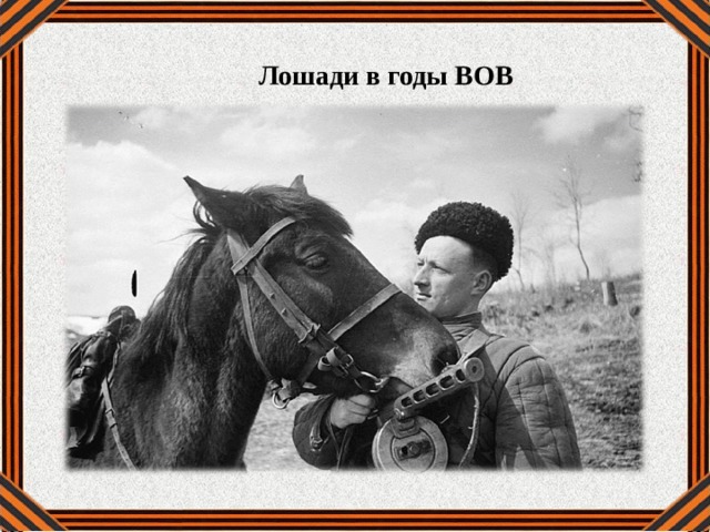 Лошади в годы ВОВ 
