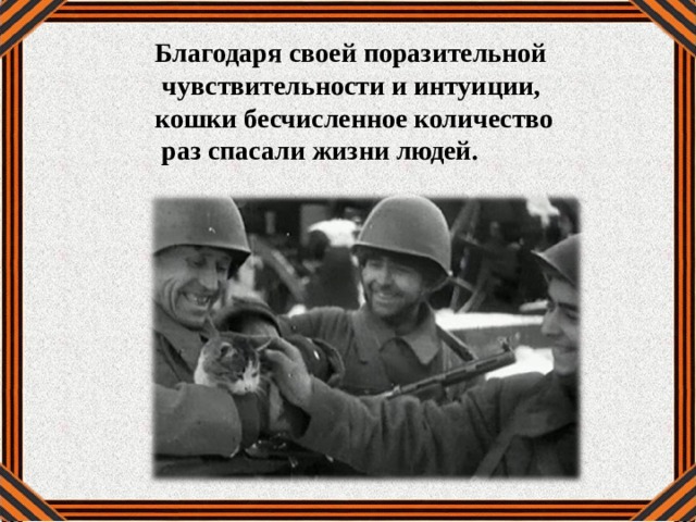 Благодаря своей поразительной  чувствительности и интуиции, кошки бесчисленное количество  раз спасали жизни людей.  