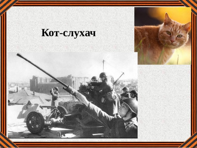 Кот-слухач   