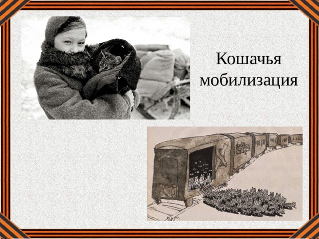 Кошачья мобилизация  
