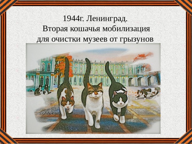 1944г. Ленинград.   Вторая кошачья мобилизация для очистки музеев от грызунов 