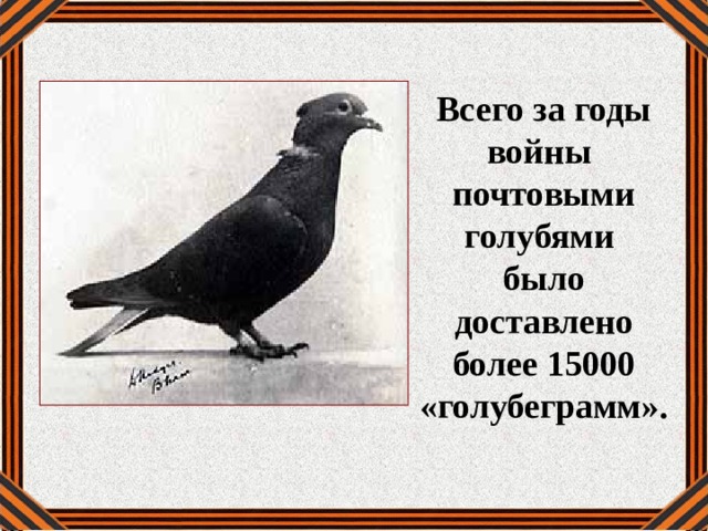 Всего за годы войны почтовыми голубями было доставлено более 15000 «голубеграмм».    