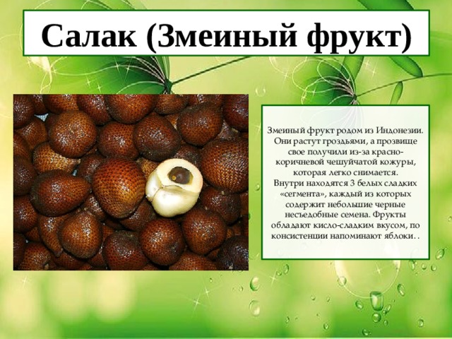 Салак (Змеиный фрукт) Змеиный фрукт родом из Индонезии. Они растут гроздьями, а прозвище свое получили из-за красно-коричневой чешуйчатой кожуры, которая легко снимается. Внутри находятся 3 белых сладких «сегмента», каждый из которых содержит небольшие черные несъедобные семена. Фрукты обладают кисло-сладким вкусом, по консистенции напоминают яблоки. . 