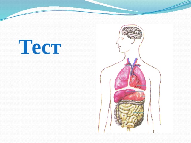 Тест 