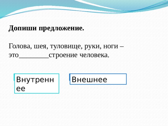 Допиши предложение. Голова, шея, туловище, руки, ноги – это________строение человека. Внутреннее Внешнее Внутреннее Внешнее 