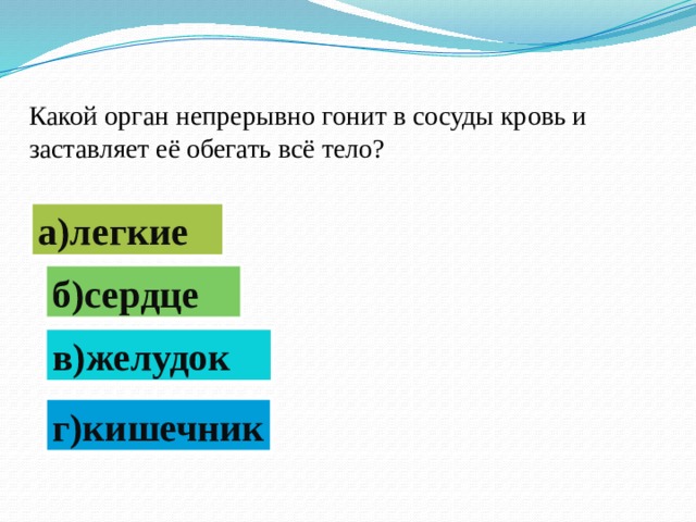 Какой орган непрерывно гонит в сосуды кровь и заставляет её обегать всё тело? а)легкие б)сердце в)желудок г)кишечник 