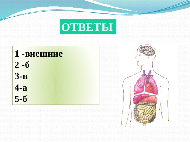 ОТВЕТЫ 1 -внешние 2 -б 3-в 4-а 5-б 