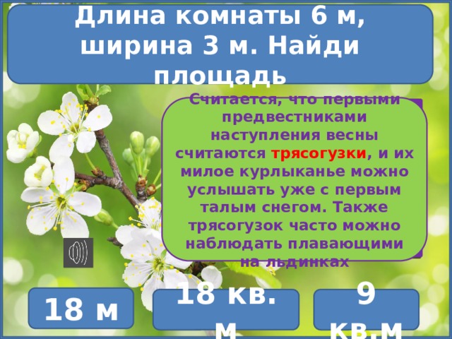 Длина комнаты 6 м, ширина 3 м. Найди площадь Считается, что первыми предвестниками наступления весны считаются трясогузки , и их милое курлыканье можно услышать уже с первым талым снегом. Также трясогузок часто можно наблюдать плавающими на льдинках 18 м 18 кв. м 9 кв.м 
