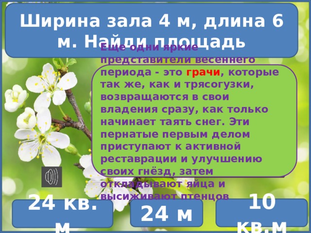 Ширина зала 4 м, длина 6 м. Найди площадь Еще одни яркие представители весеннего периода - это грачи , которые так же, как и трясогузки, возвращаются в свои владения сразу, как только начинает таять снег. Эти пернатые первым делом приступают к активной реставрации и улучшению своих гнёзд, затем откладывают яйца и высиживают птенцов 24 м 10 кв.м 24 кв. м 