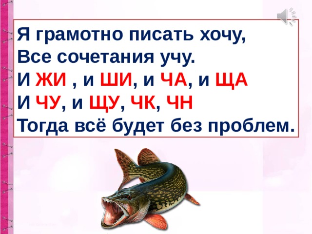 Я грамотно писать хочу, Все сочетания учу. И ЖИ , и ШИ , и ЧА , и ЩА И ЧУ , и ЩУ , ЧК , ЧН  Тогда всё будет без проблем. 