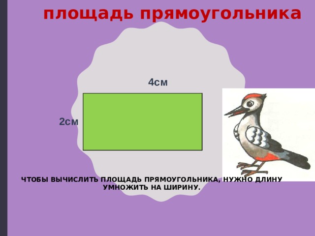 площадь прямоугольника 4см 2см ЧТОБЫ ВЫЧИСЛИТЬ ПЛОЩАДЬ ПРЯМОУГОЛЬНИКА, НУЖНО ДЛИНУ УМНОЖИТЬ НА ШИРИНУ. 