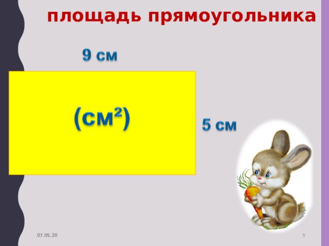 площадь прямоугольника  07.05.20  