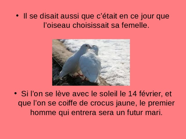 Il se disait aussi que c’était en ce jour que l’oiseau choisissait sa femelle.    Si l’on se l è ve avec le soleil le 14 février, et que l’on se coiffe de crocus jaune, le premier homme qui entrera sera un futur mari.  