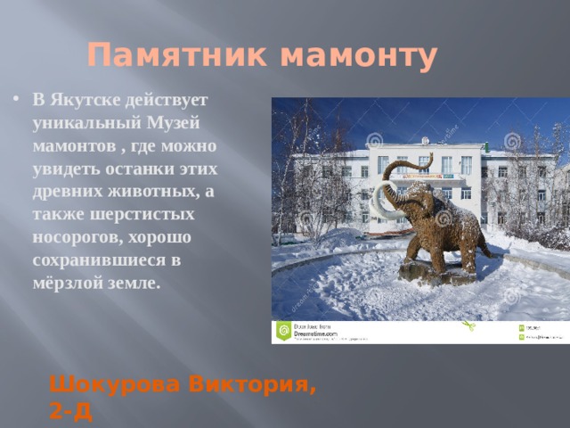  Памятник мамонту В Якутске действует уникальный Музей мамонтов , где можно увидеть останки этих древних животных, а также шерстистых носорогов, хорошо сохранившиеся в мёрзлой земле. Шокурова Виктория, 2-Д 