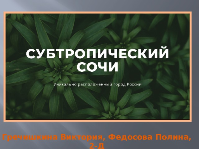 Гречишкина Виктория, Федосова Полина, 2-Д 