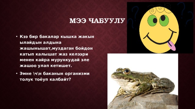 Мээ чабуулу Кээ бир бакалар кышка жакын ылайдын алдына жашынышат,муздаган бойдон катып калышат жаз келээри менен кайра мурункудай эле жашоо улап кетишет. Эмне \ч\н баканын организми толук тоёуп калбайт? 