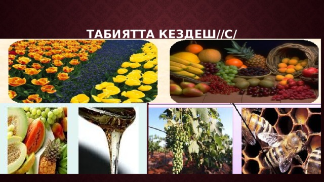 Табиятта кездеш//с/ 