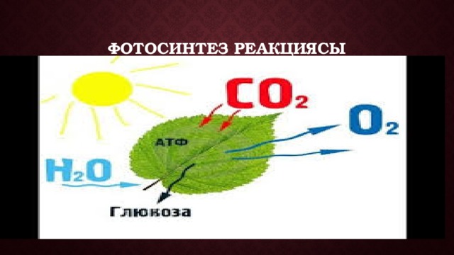 Фотосинтез реакциясы 