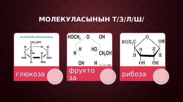 Молекуласынын т/з/л/ш/ глюкоза фруктоза рибоза 