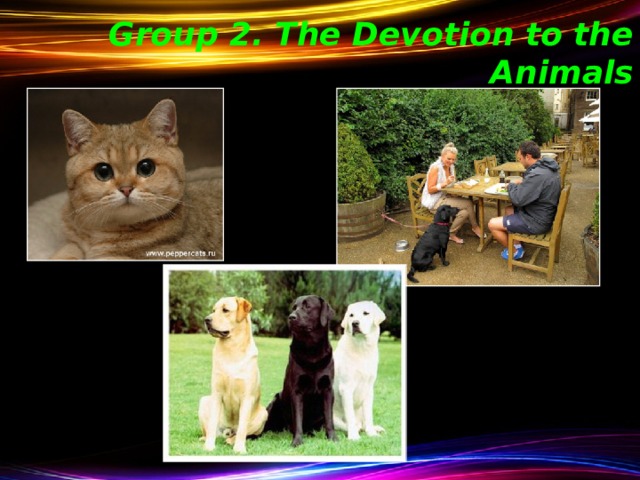 Group 2. The Devotion to the Animals 