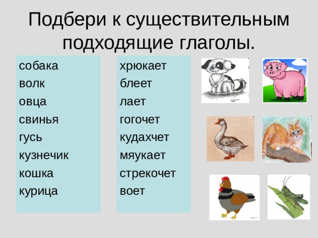 Подбери к существительным подходящие глаголы. собака волк овца свинья гусь кузнечик кошка курица хрюкает блеет лает гогочет кудахчет мяукает стрекочет воет 