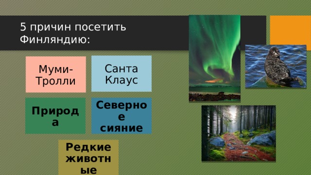 5 причин посетить Финляндию: Санта  Клаус Муми- Тролли Природа Северное сияние Редкие животные 2 