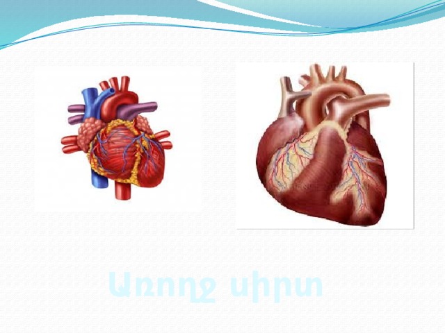 Առողջ սիրտ 