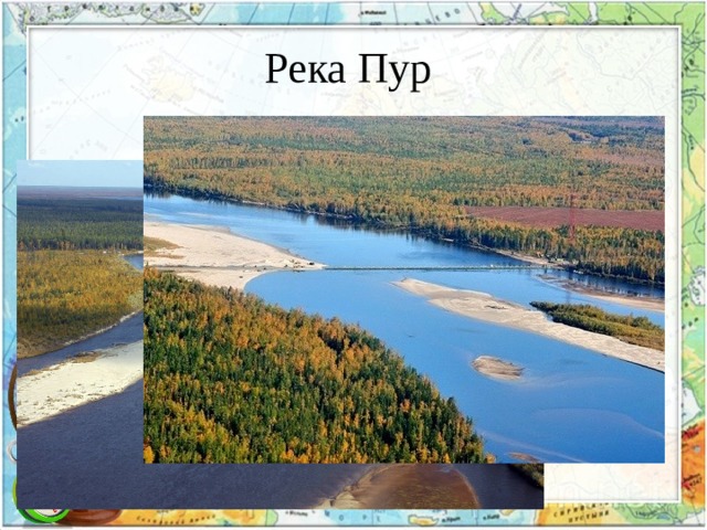 Река Пур 