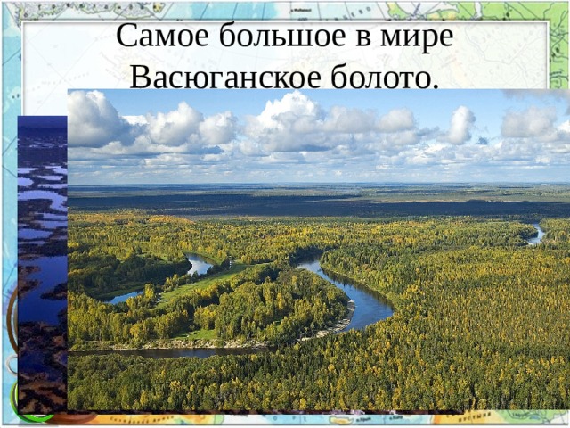 Самое большое в мире Васюганское болото. 