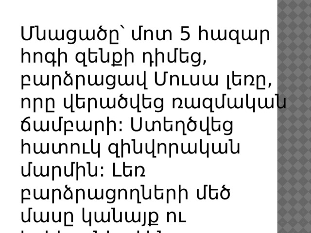 Մնացածը՝ մոտ 5 հազար հոգի զենքի դիմեց, բարձրացավ Մուսա լեռը, որը վերածվեց ռազմական ճամբարի: Ստեղծվեց հատուկ զինվորական մարմին: Լեռ բարձրացողների մեծ մասը կանայք ու երեխաներ էին: 
