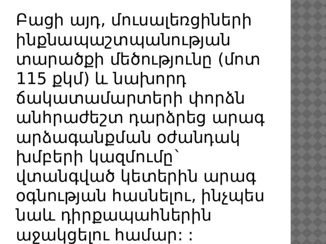 Բացի այդ, մուսալեռցիների ինքնապաշտպանության տարածքի մեծությունը (մոտ 115 քկմ) և նախորդ ճակատամարտերի փորձն անհրաժեշտ դարձրեց արագ արձագանքման օժանդակ խմբերի կազմումը` վտանգված կետերին արագ օգնության հասնելու, ինչպես նաև դիրքապահներին աջակցելու համար: : 