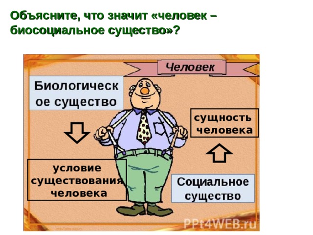 Объясните, что значит «человек – биосоциальное существо»? сущность человека условие существования  человека  